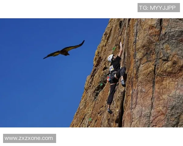 杭州攀岩队的团队协作探索与攀登精神的完美结合