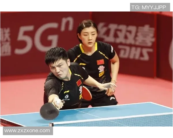 成都羽毛球队实力深度解析与对比分析全景展示